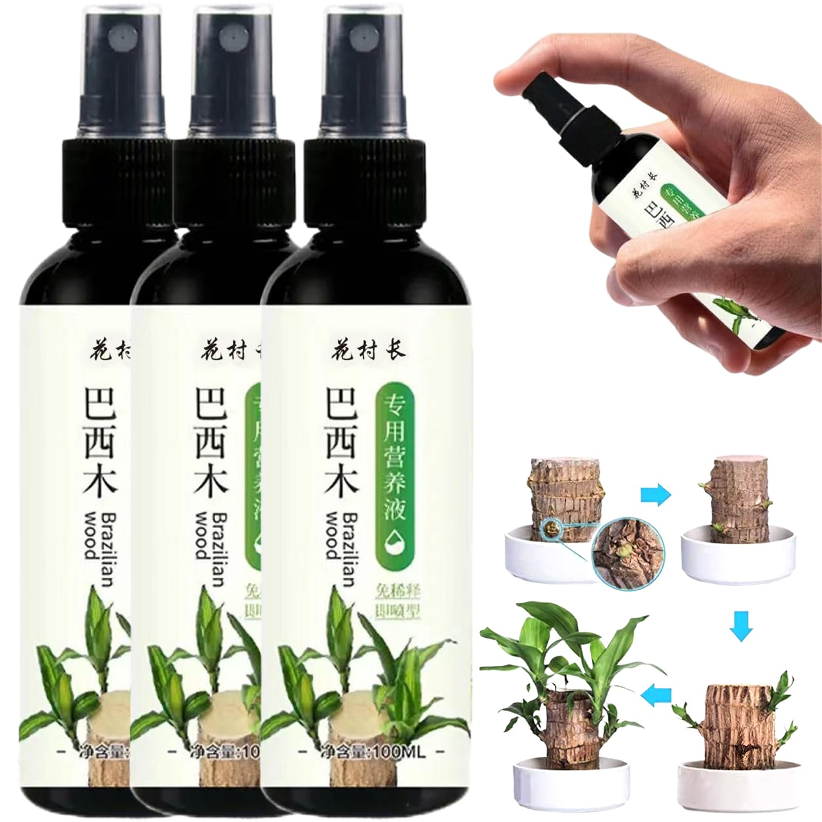 Liquid Fertilizer, 3Pcs Brazilian Wood Plant Food, Indoor Plant Fertilizer for Bamboo, Brazilian Wood Houseplant, Liquid for Plants, 100ml, Indoor