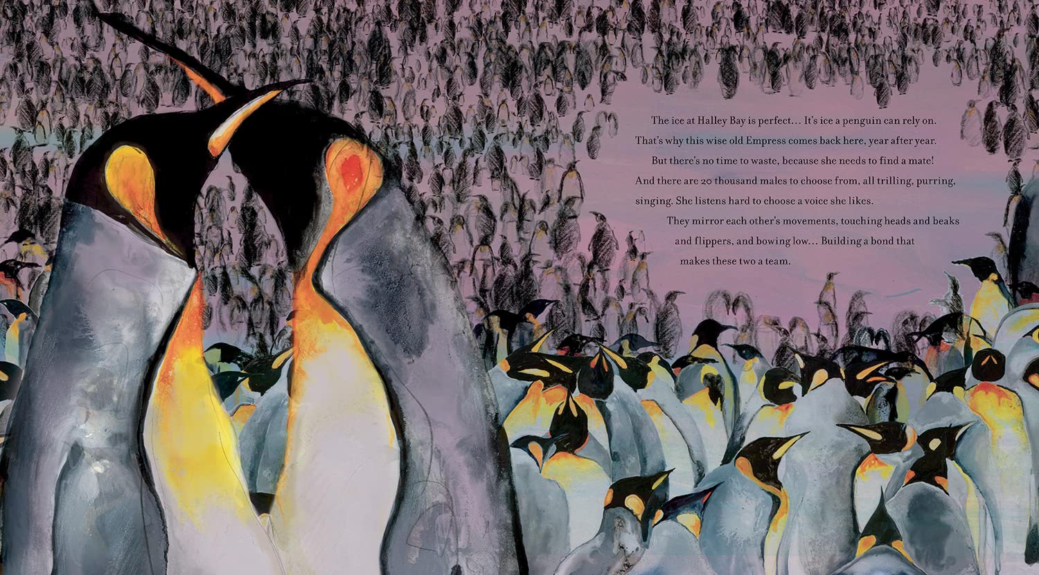 Emperor of the Ice: How a Changing Climate Affects a Penguin Colony