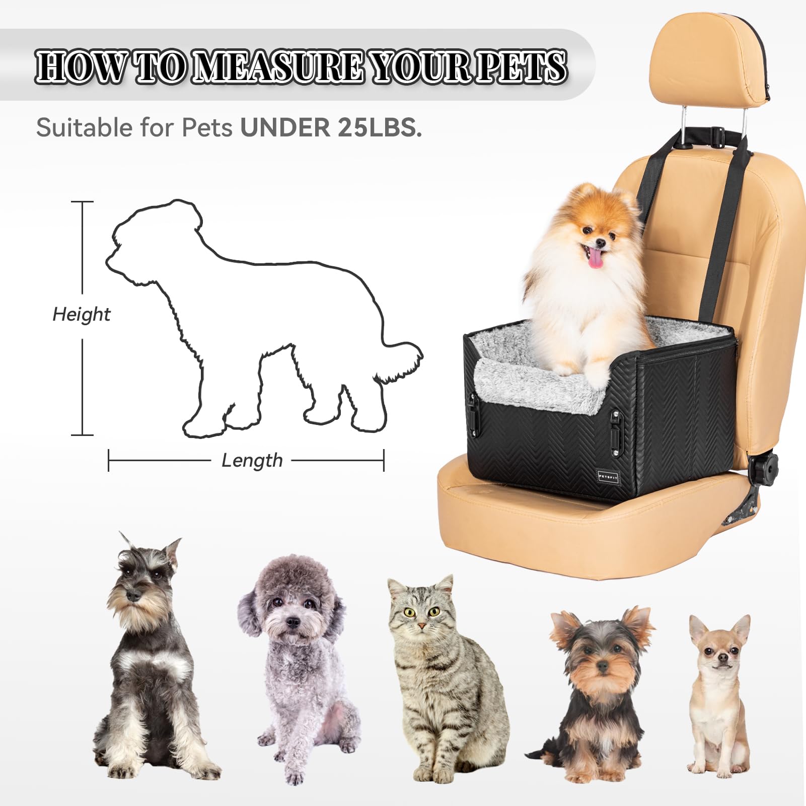 Petsfit Hunde Autositz für kleine Hunde, Stabiler & Sicherer Hundeautositz Hundesitz Auto Rückbank mit Sicherheitsgurt-Halteclip, Hundekorb Hundebett Auto mit waschbaren Plüschkissen