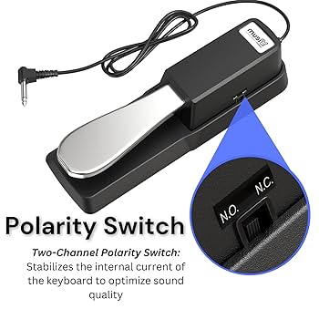 Free Delivery On All Ites Digital Pianos Electronic Keyboards &ap; Ore