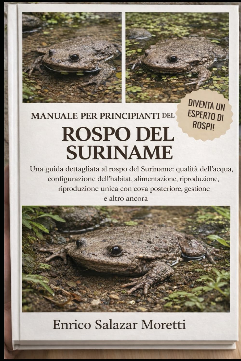 MANUALE PER PRINCIPIANTI DEL ROSPO DEL SURINAME: Una guida dettagliata al rospo del Suriname: qualità dell'acqua, configurazione dell'habitat, ... con cova posteriore, gestione e altro ancora
