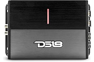 ION1600.4D 4-channel amplificador ds18