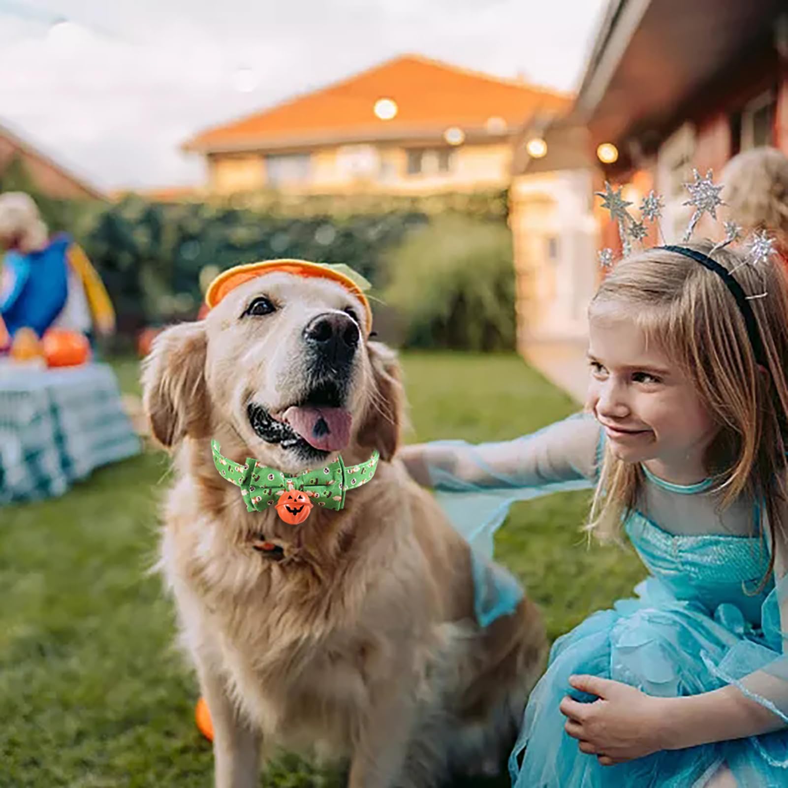 犬 ハロウィン 蝶ネクタイ リボン おしゃれ 首輪 かわいいかぼちゃ