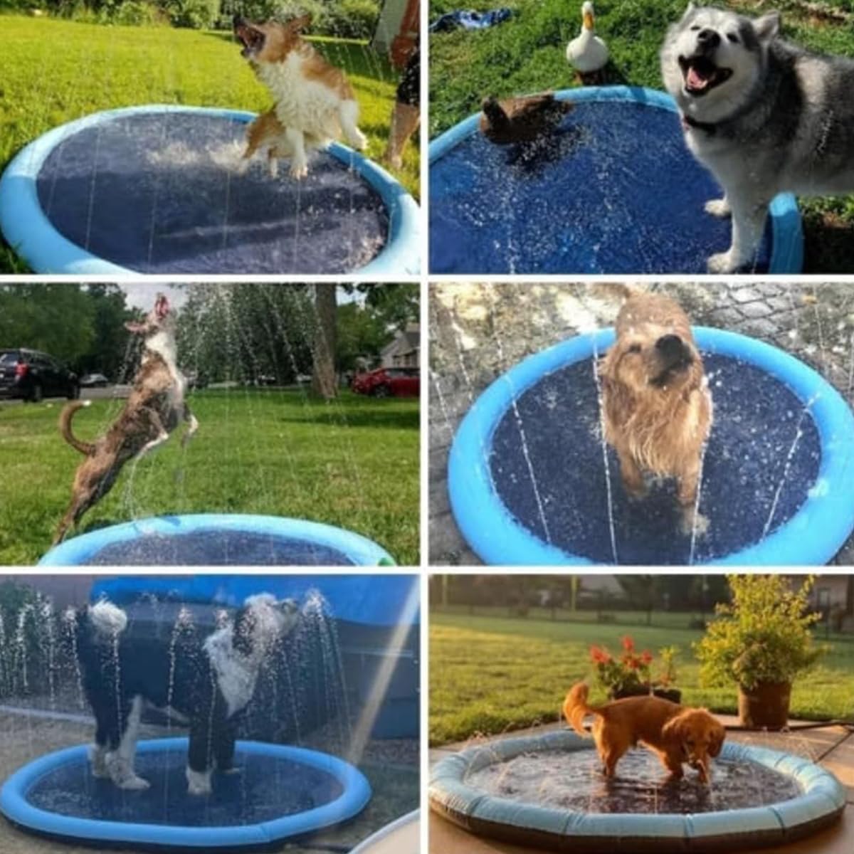 Puppery Sprinkler Wasserspielmatte Für Hunde, Wasserspielmatte Hund, Wasserspielzeug Hund, Wassermatte Hund, Verdickt rutschfest Planschbecken Hund, für Hunde und Kinder (170cm)