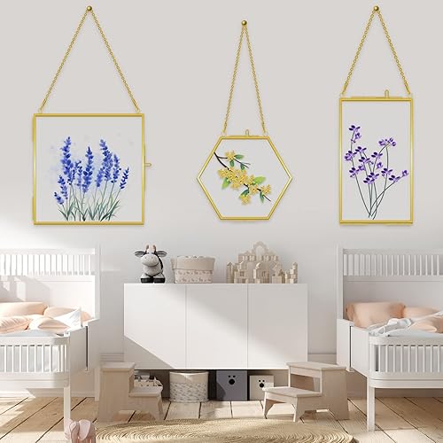 Miniatura 7 de 6 marcos de vidrio de latón para flores prensadas, marcos de fotos colgantes con cadena, marco de vidrio doble transparente, marco flotante dorado,