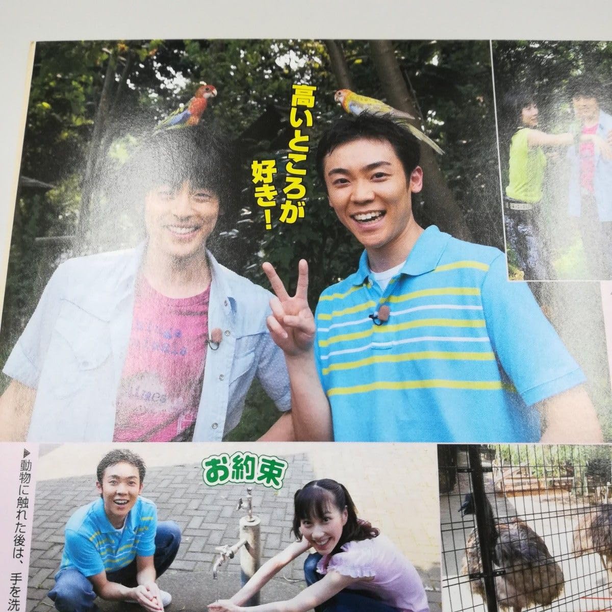 Amazon.co.jp: 今井ゆうぞう はいだしょうこ おかあさんと