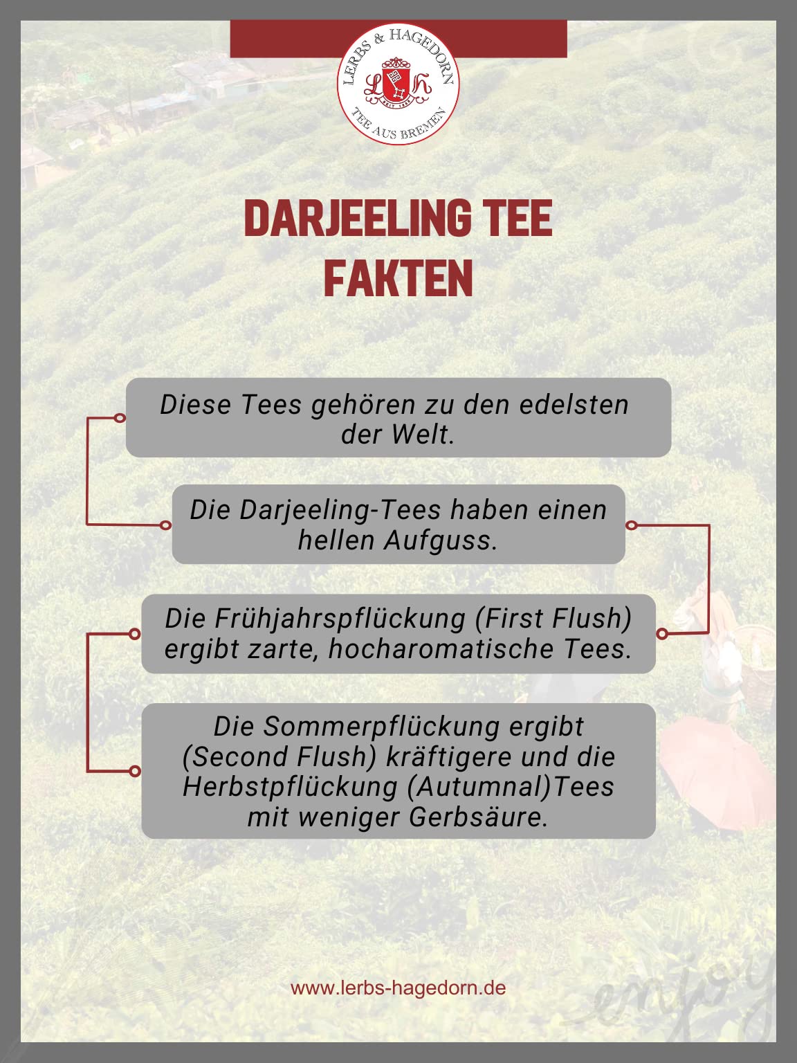 Lerbs & Hagedorn, Darjeeling Schwarztee FTGFOP1 Typ Seeyok Bio | Frisch, Mild, Blumig 2kg Ca. (160 Liter)