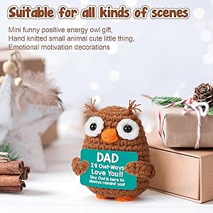 Hweijm Handmade Crochet Christmas Owl Gift for dad, Birthday Christmas Stockings Stuffer from Daughter Son Wife, Fathers Present for Husband Daddy Father-in-Law Grandpa Bonus Step Dads