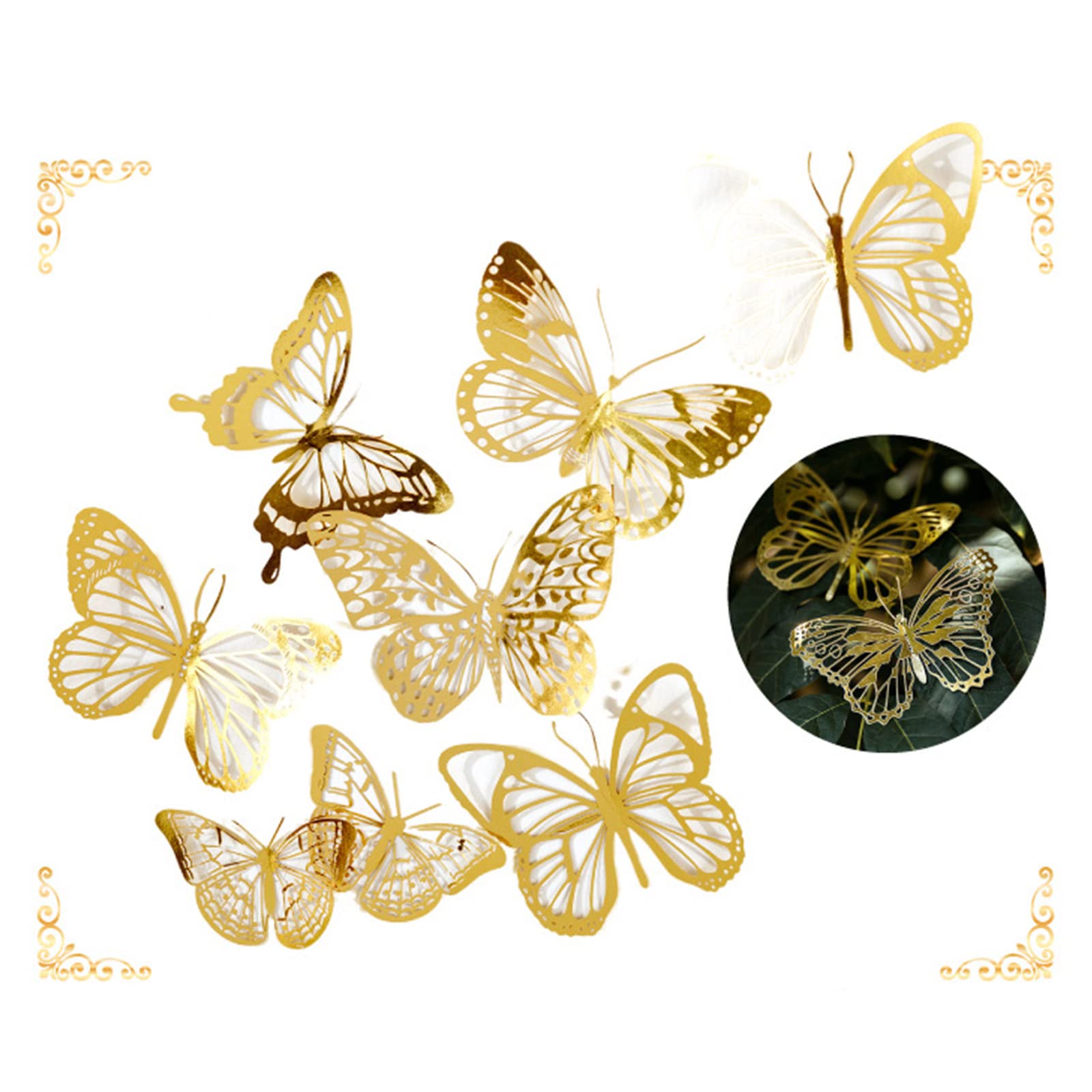 Modello di fiore di Plastica Cartella Goffratura S... – Vicedeal