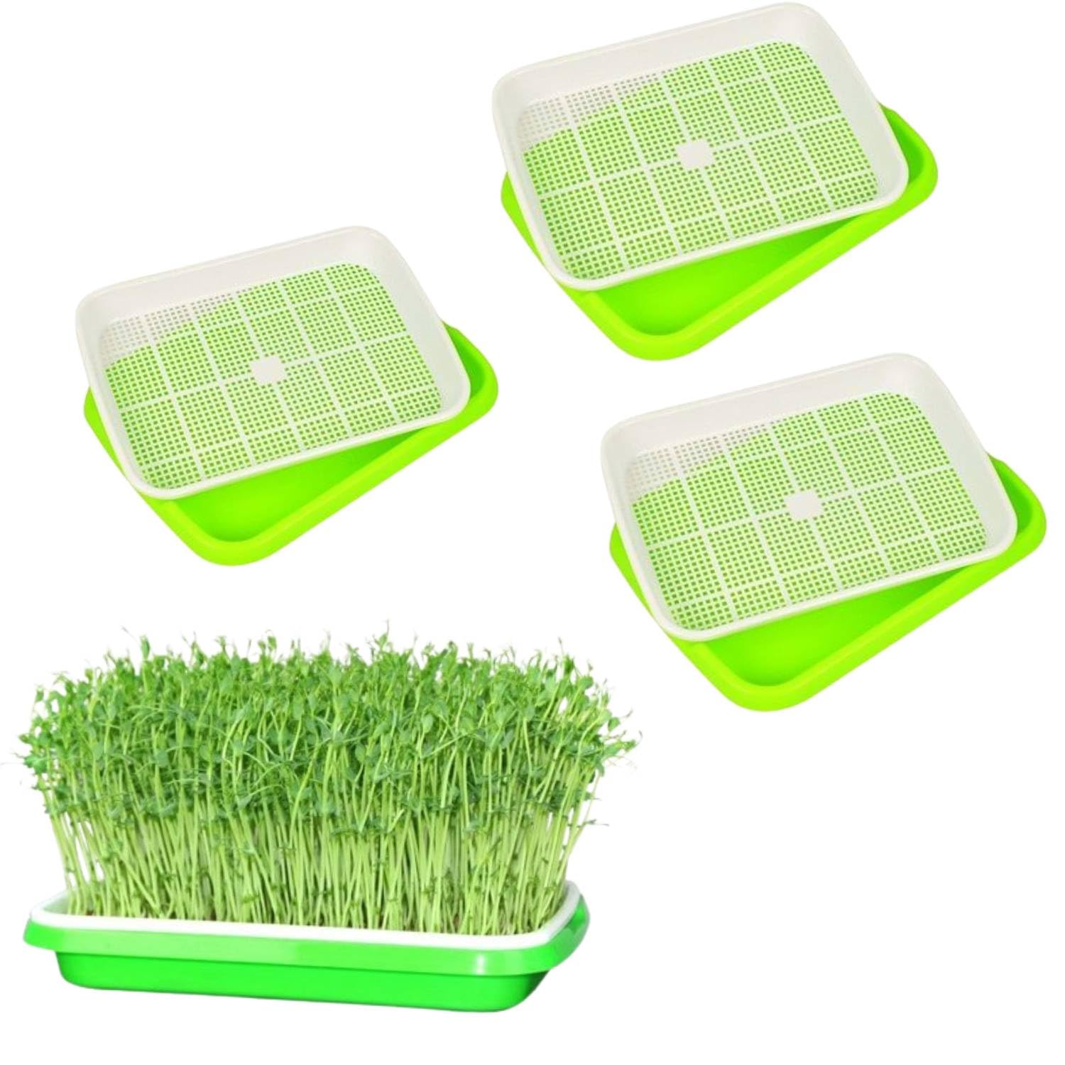 Harvest House Germination Plastic Tray (Pack of 3) | Hydroponics Sprouter and Grass Growing Tray | Aquaponics Tray for Garden, Home and Office | Plant and Vegetables Growing kit Tray-image-16
