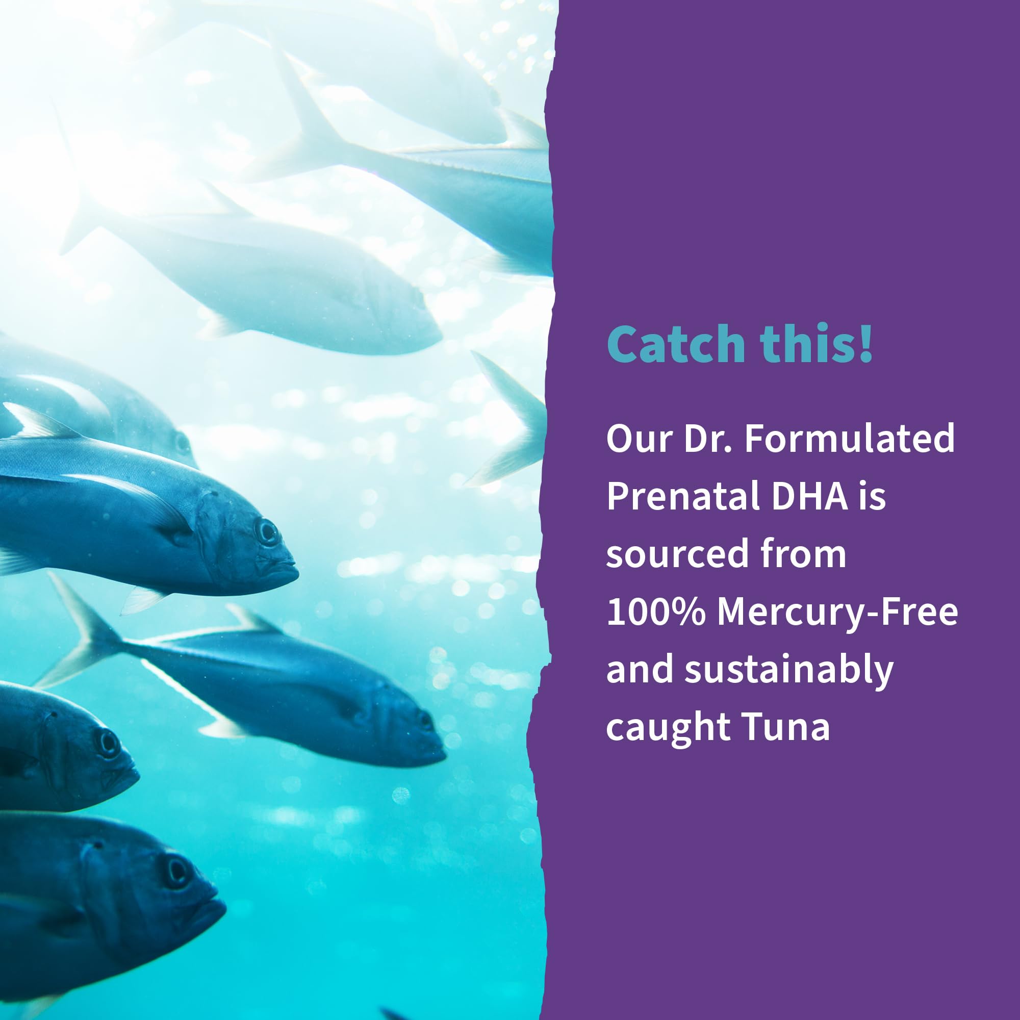 Garden of Life Dr. Formulated Prenatal DHA Fish Oil, with DPA & D3, 30ct — Amazon image 6