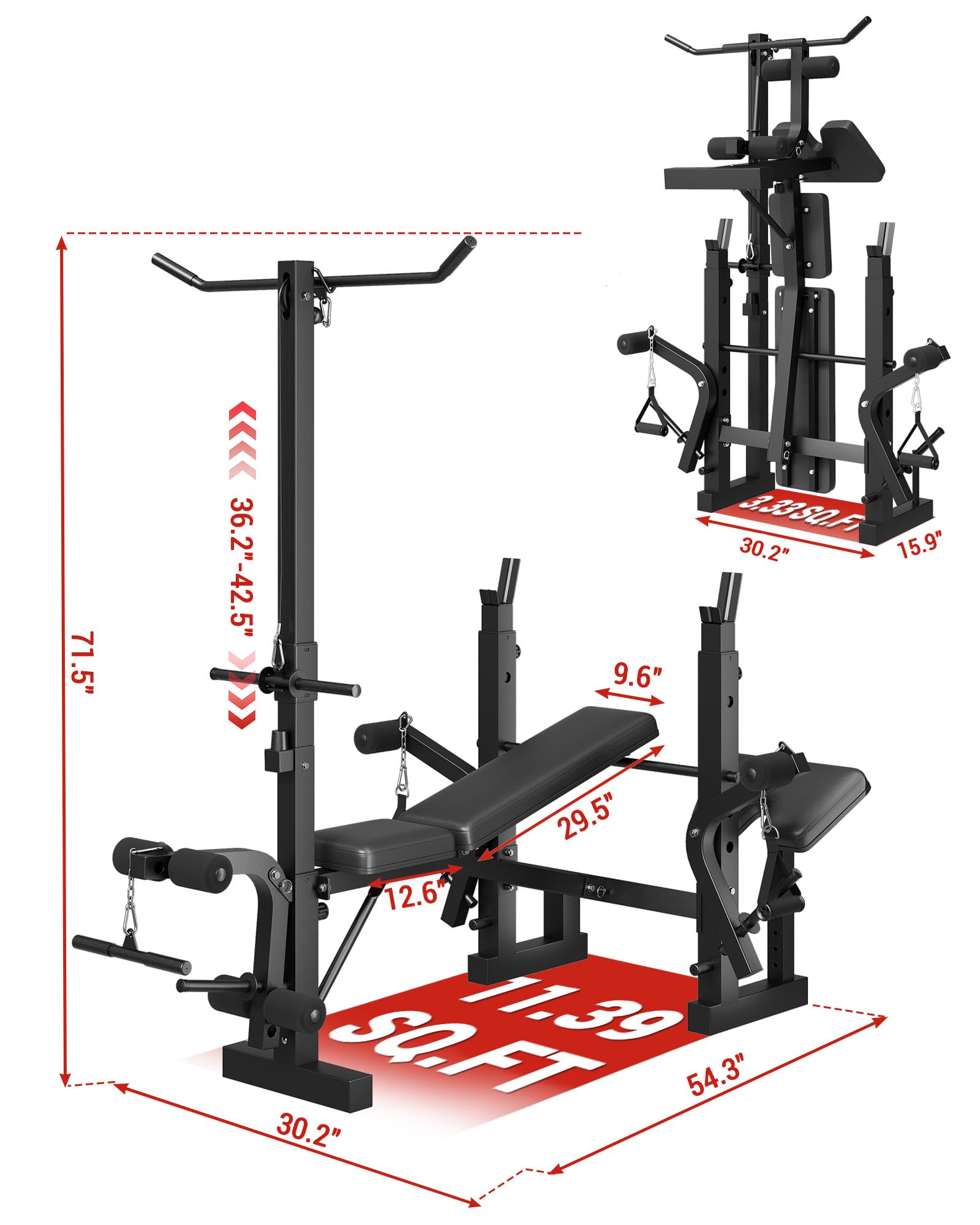8-in-1 Weight Bench Set for Home Gym, Foldable Workout Benchs | With Preacher Curl Pad, LAT Pulldown and Leg Extension Leg Curl, Bench Press for Full Body Exercise