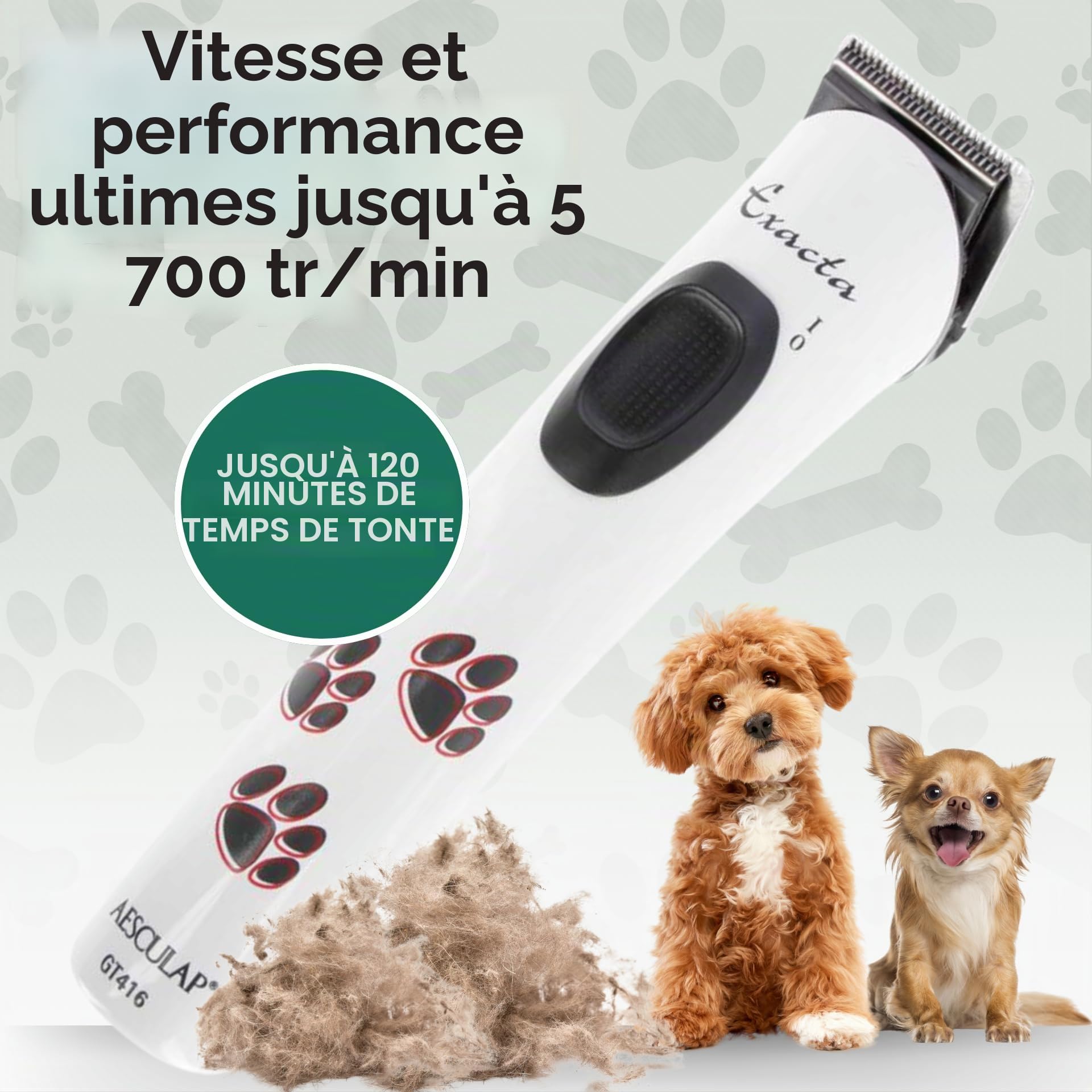 Agrarzone Aesculap Exacta Tondeuse pour chien Blanc | Tête de rasage de rechange, silencieuse, sans vibrations, mince, légère
