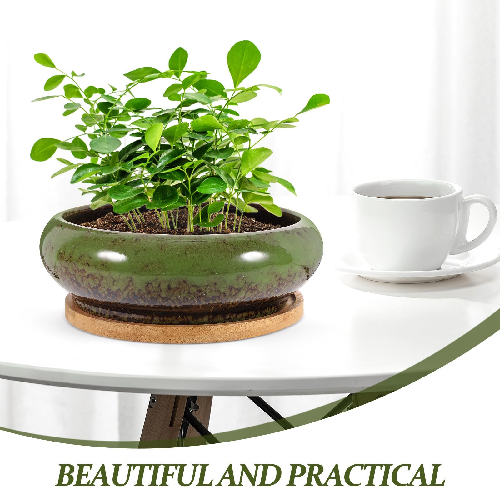 Mikinona 2 Ensembles Pot de Fleurs Succulentes en Soucoupe Bambou