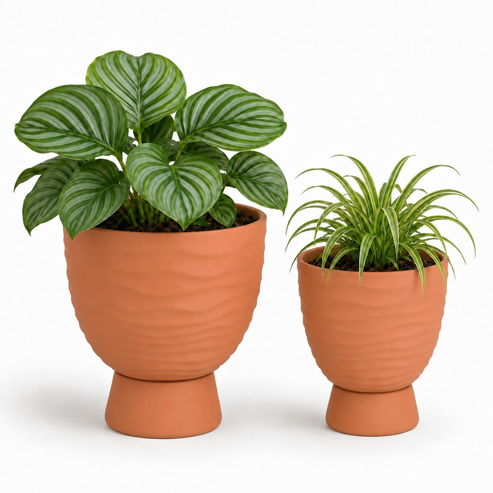 Photo 1 of vensovo Terracotta Self Watering Plant Pots, 6 and 8 Inch