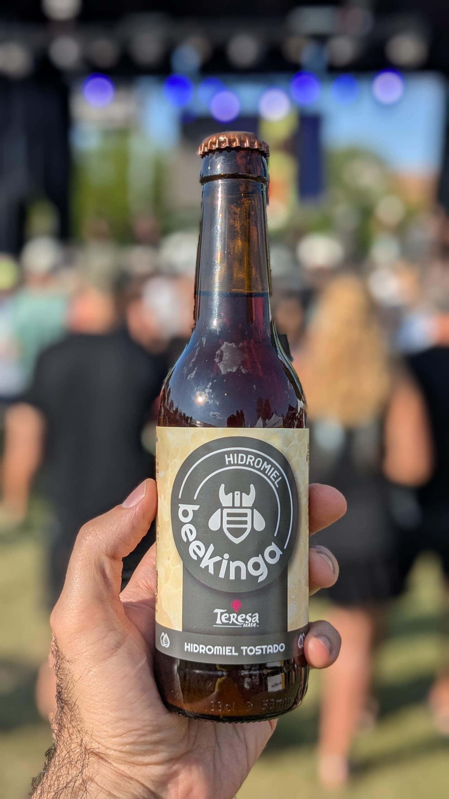 Beekinga Pack Degustación Hidromiel de 12 Botellines de 33cl con Hidromiel de Romero, Lavanda, Tostado y Frutos Rojos
