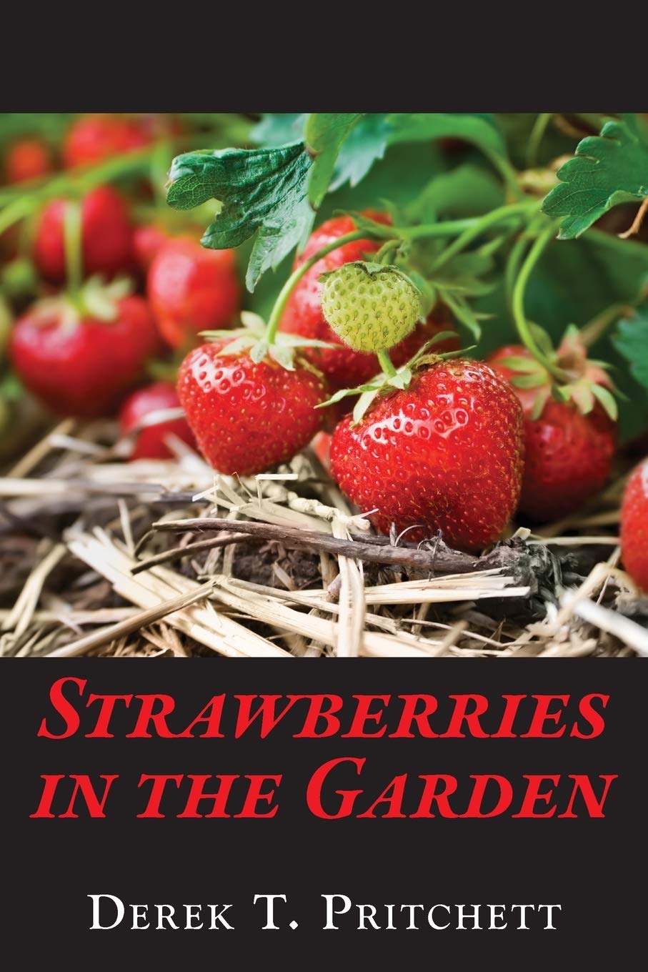 Strawberries in the Garden: Book One