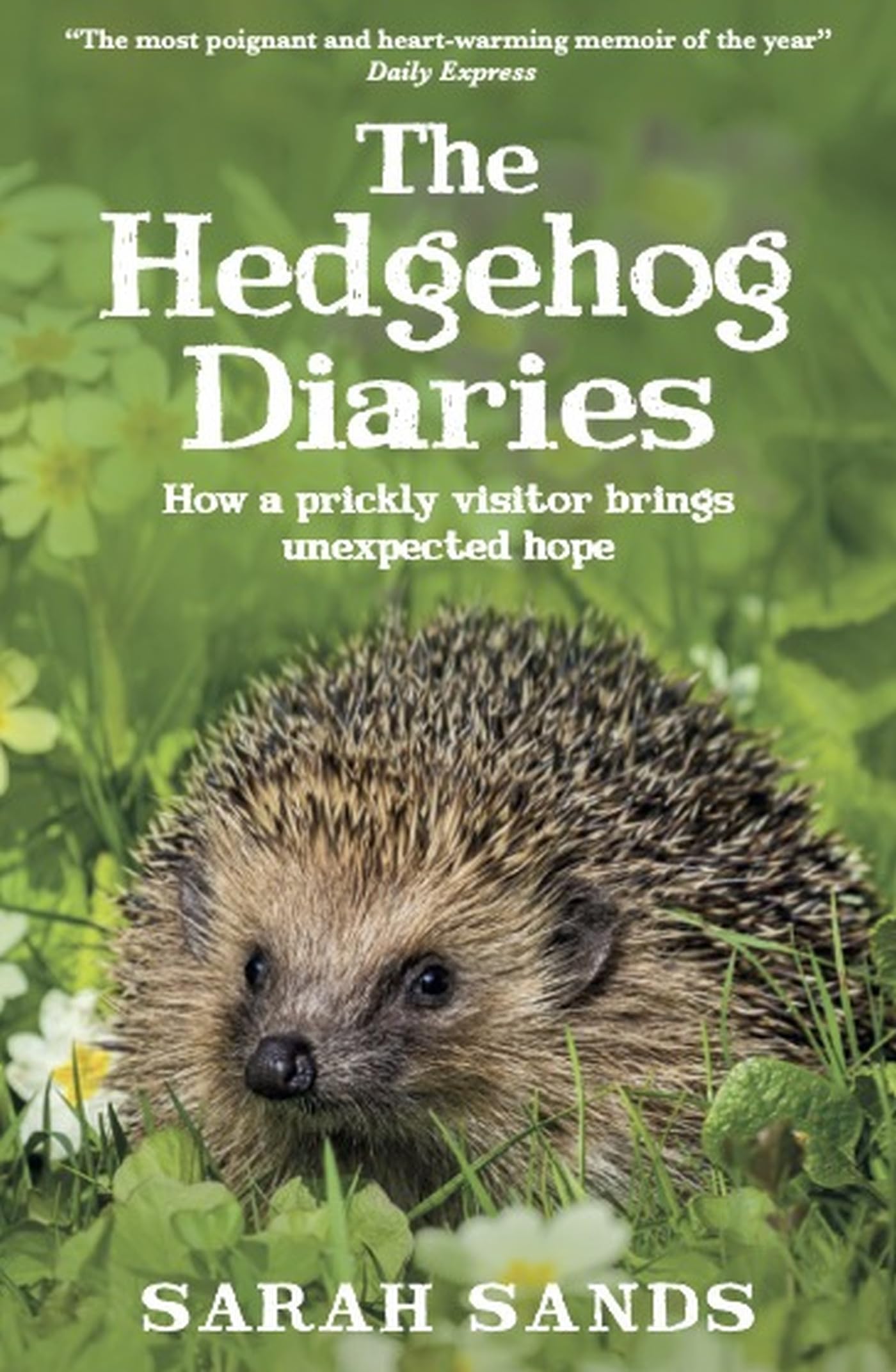 Hedgehog Diaries