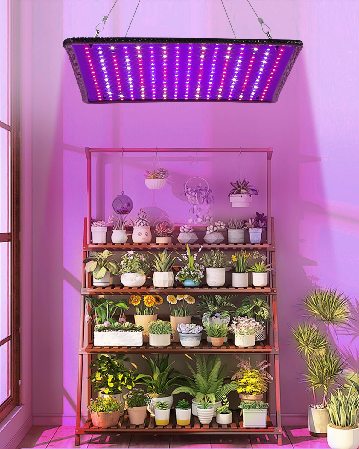 2 Stck Vollspektrum Pflanzenlampe 144 LEDs 30W Grow Lampe Indoor - UV Licht  Fr Zimmerpflanzen, Gemse & Blumen 144 LEDs Grow Light