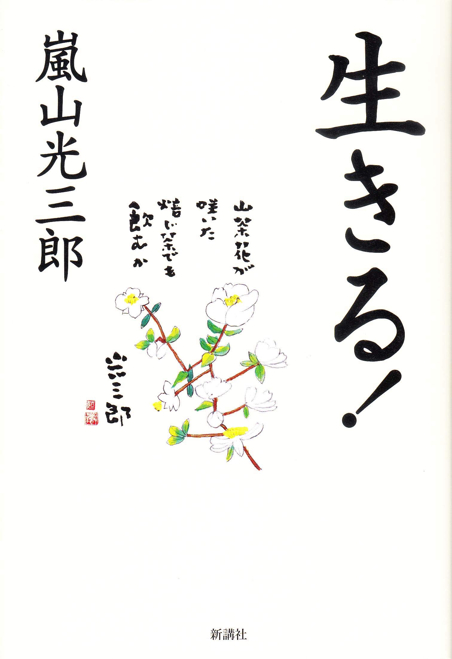 嵐山光三郎著作 10冊セット 嵐山光三郎著作 10冊セット 本