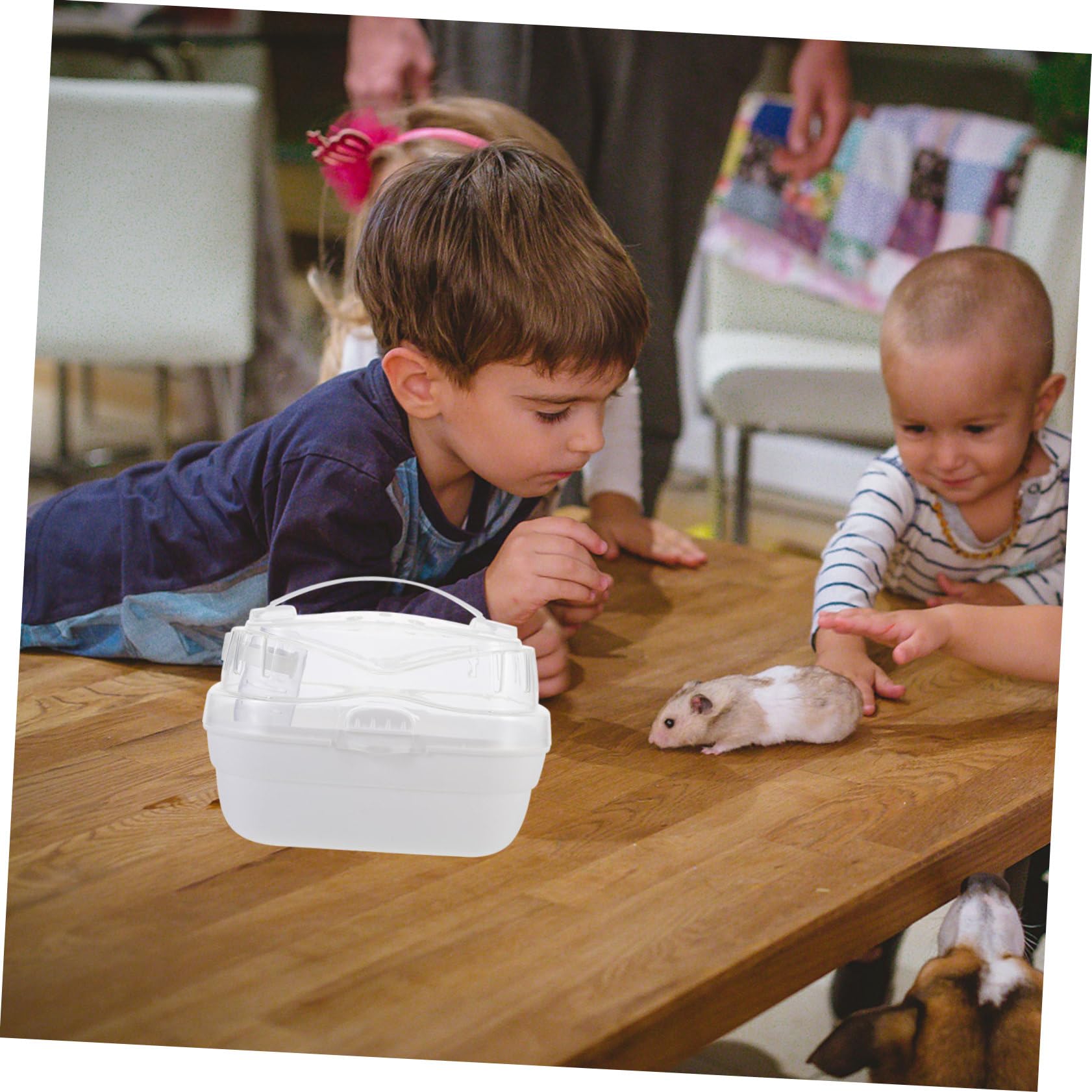 FONDOTIN Hamster Cage Travel Tote Bag Hamster Backpack Suitcase Backpack Pet Carrier Bag Hamster Carrier Cage Mouse Cage Backpacks for Traveling Hamster House White Pp Winter Food