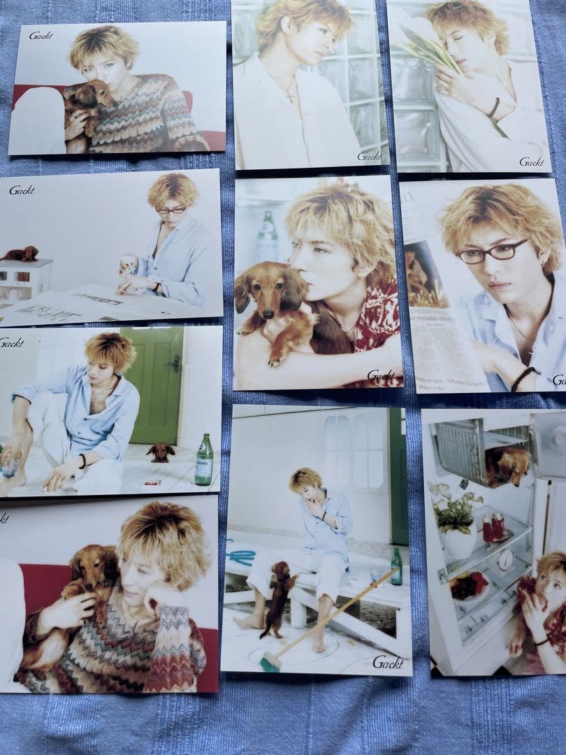 Amazon.co.jp: GACKT Gackt ガクト シールポストカード売り : 文房具