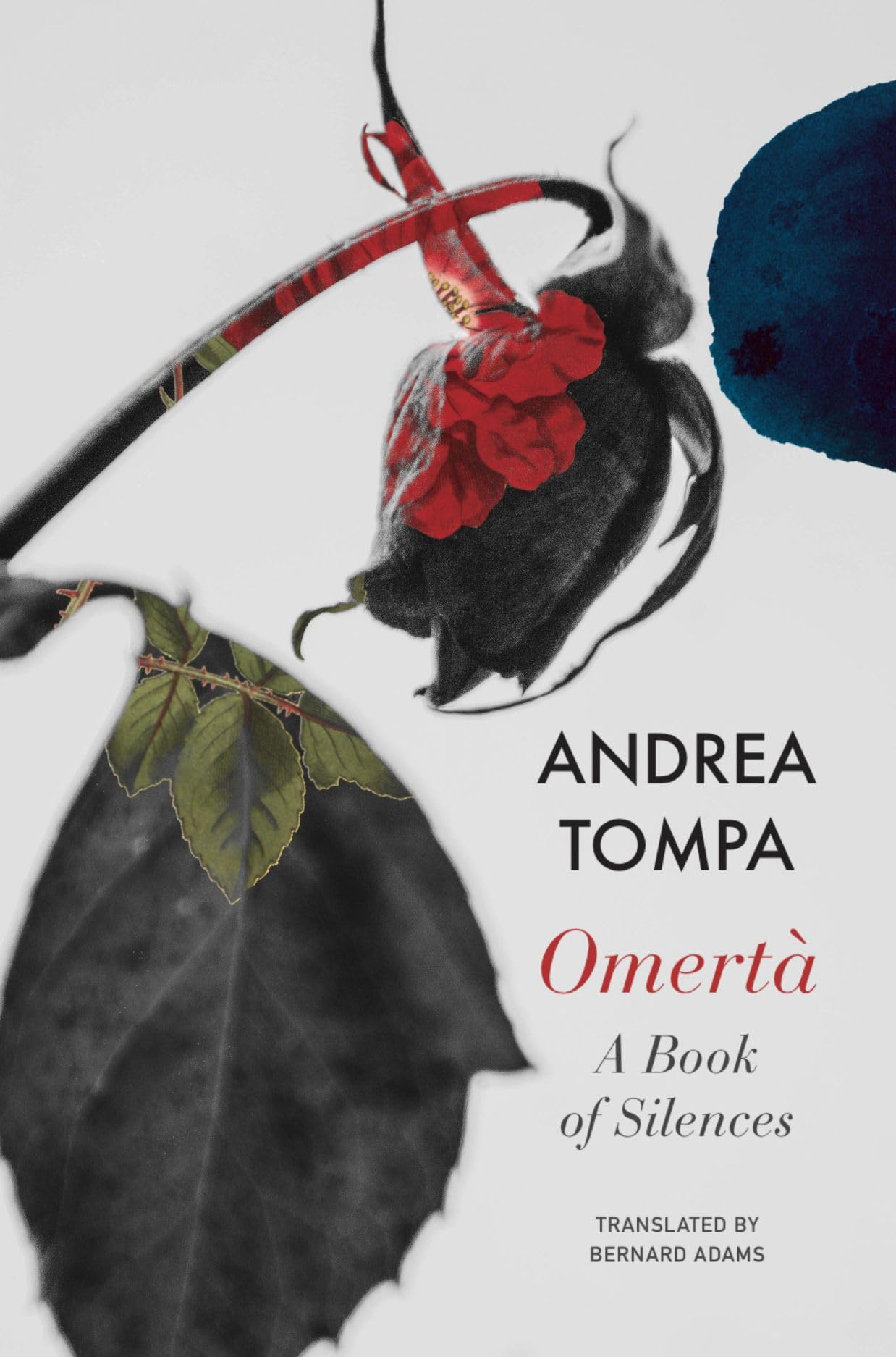 Omert by Andrea Tompa, Bernard Adams - 9781803094083