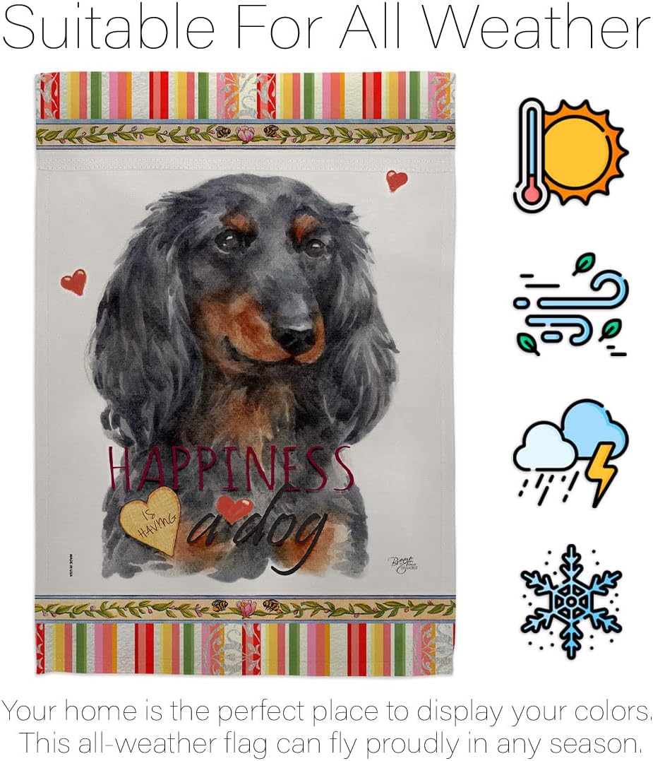 Breeze Decor Blue Long Hair Dachshund Happiness Garden Flag-Set with Stand Dog Puppy Spoiled Paw Canine Fur Pet Nature Farm Animal Creature House Banner Small Yard Gift Double-Sided, Made in USA