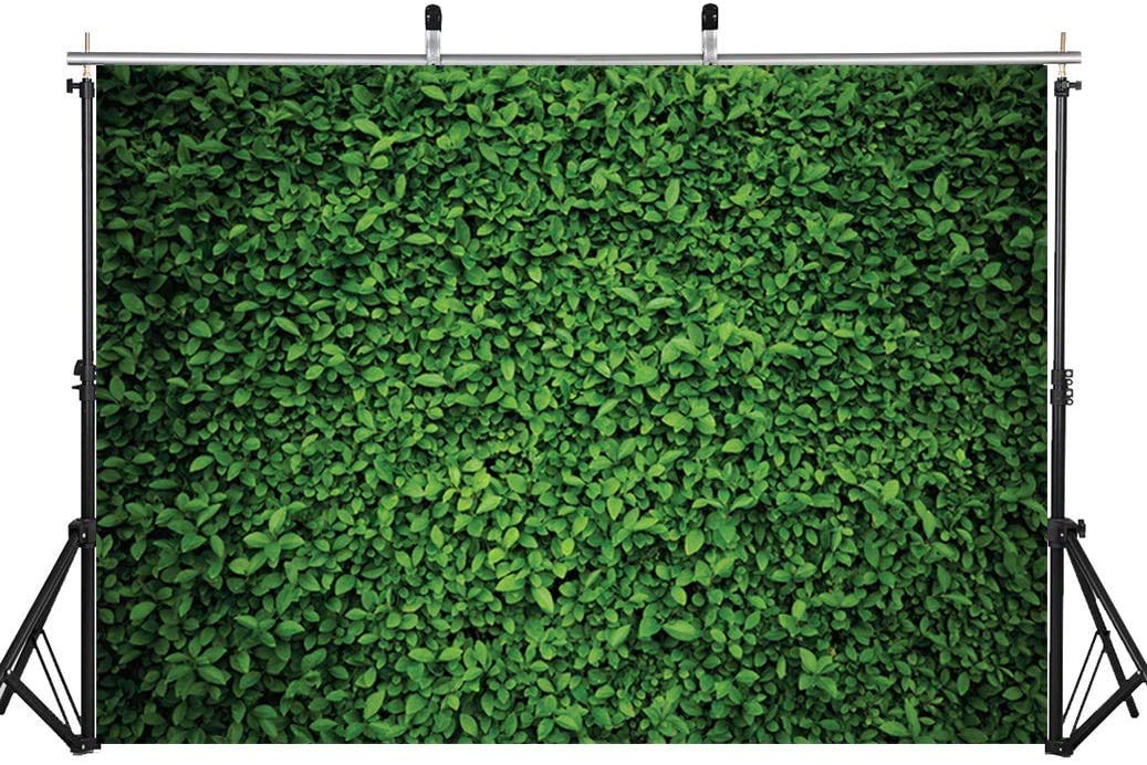 7x5ft Gold Green Eucalyptus Backdrop - Photography Background For Wedding & Party Photo Booth