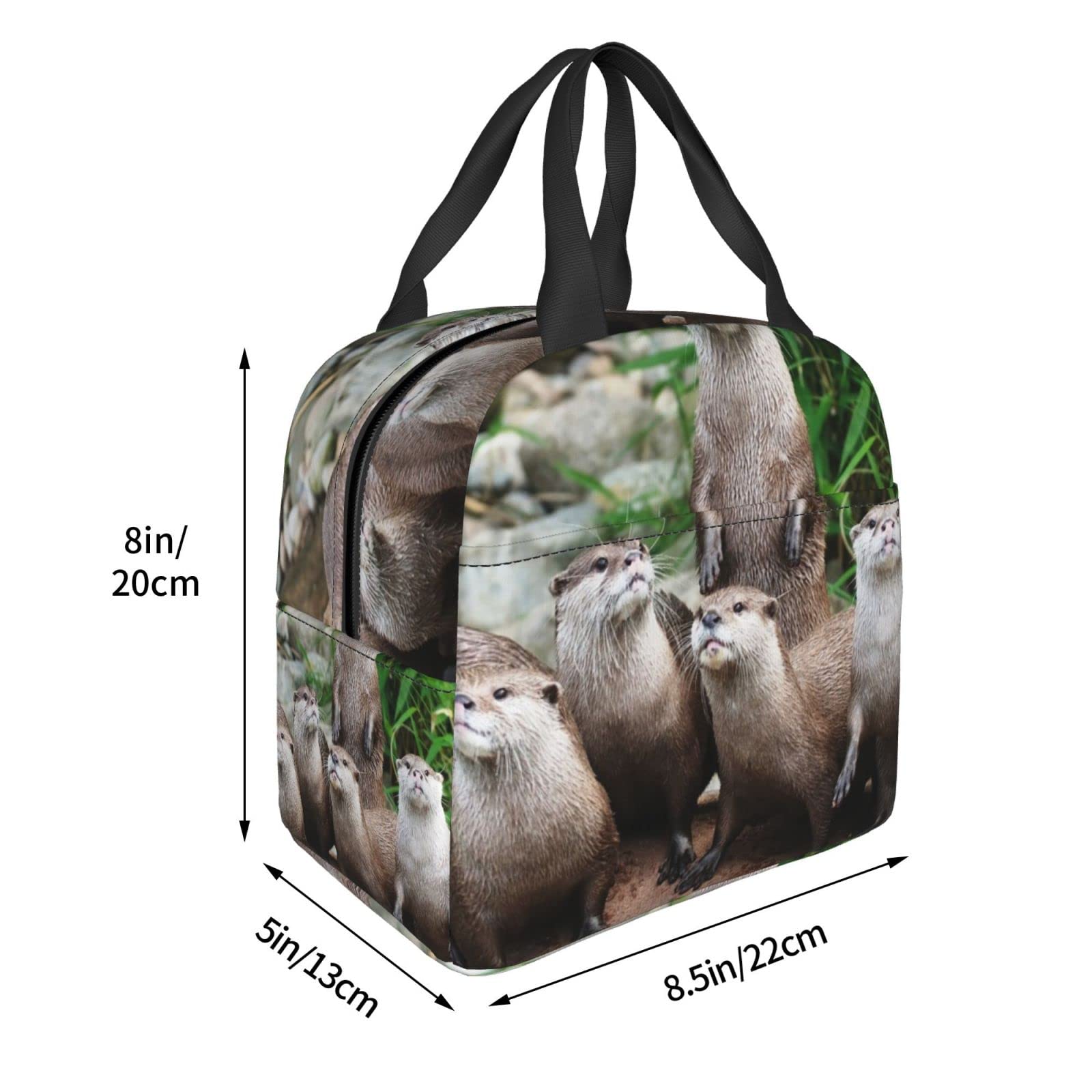 Amazon｜カワウソの家族 バッグ ランチバッグ 保冷 お弁当箱 保温 保冷