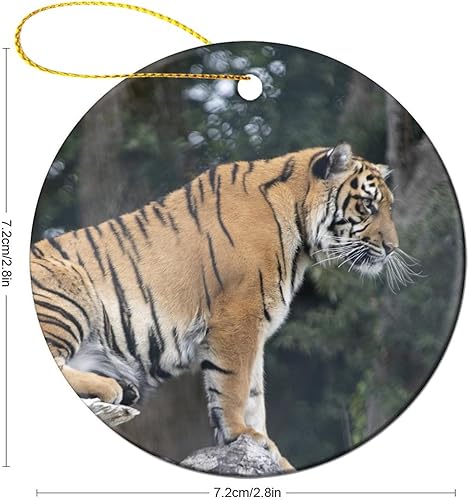 Miniatura 10 de Adornos colgantes de Navidad, adornos de camello de animales silvestres, recuerdo festivo de cerámica, relleno de calcetín de Navidad para tío,