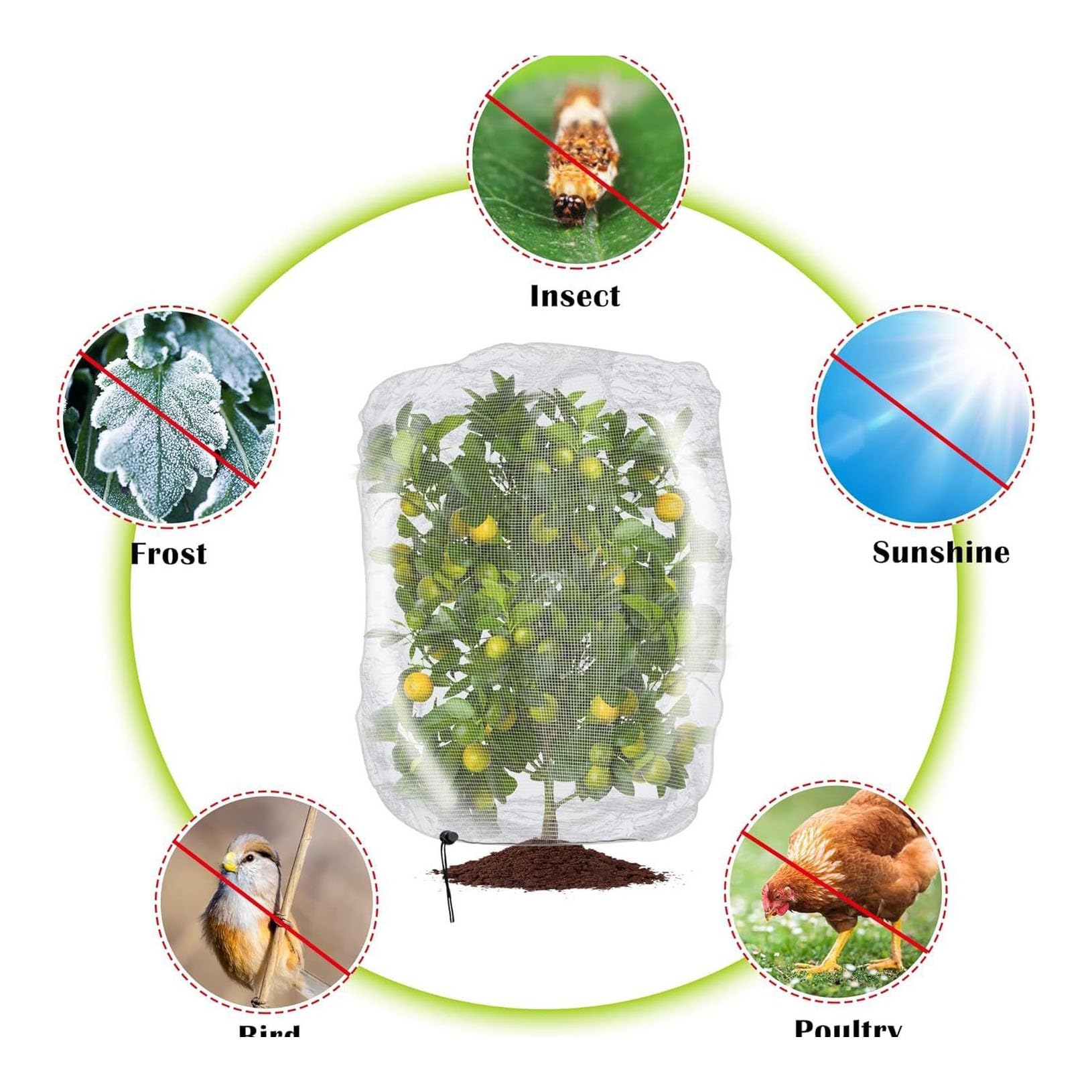 Filet à Oiseaux de Jardin Lot de 2 avec Fermeture éclair Filet de Protection Contre Les Insectes Robuste pour légumes et Fleurs, Petits Arbres(300x300cm)