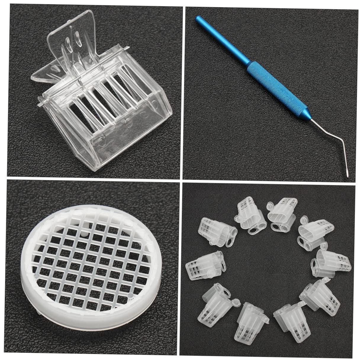VANZACK Professionale Per Allevamento Regine Api Kit Completo Per Apicoltura Strumenti Per Nutrizione e Allevamento Contenitore Per Facile Da Usare e Trasportare