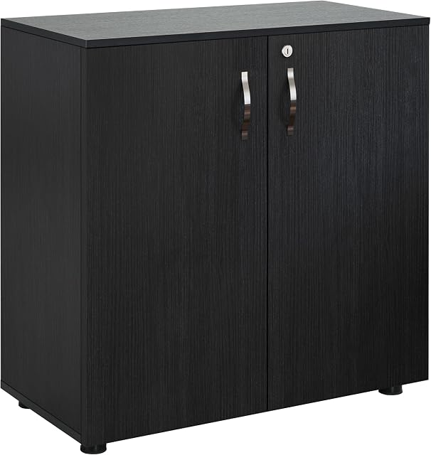 Vinsetto 2-Tier Locking Office Storage Cabinet File Organisation w/Feet Melamine Coating Aluminium Handles 2 Keys Stylish Black