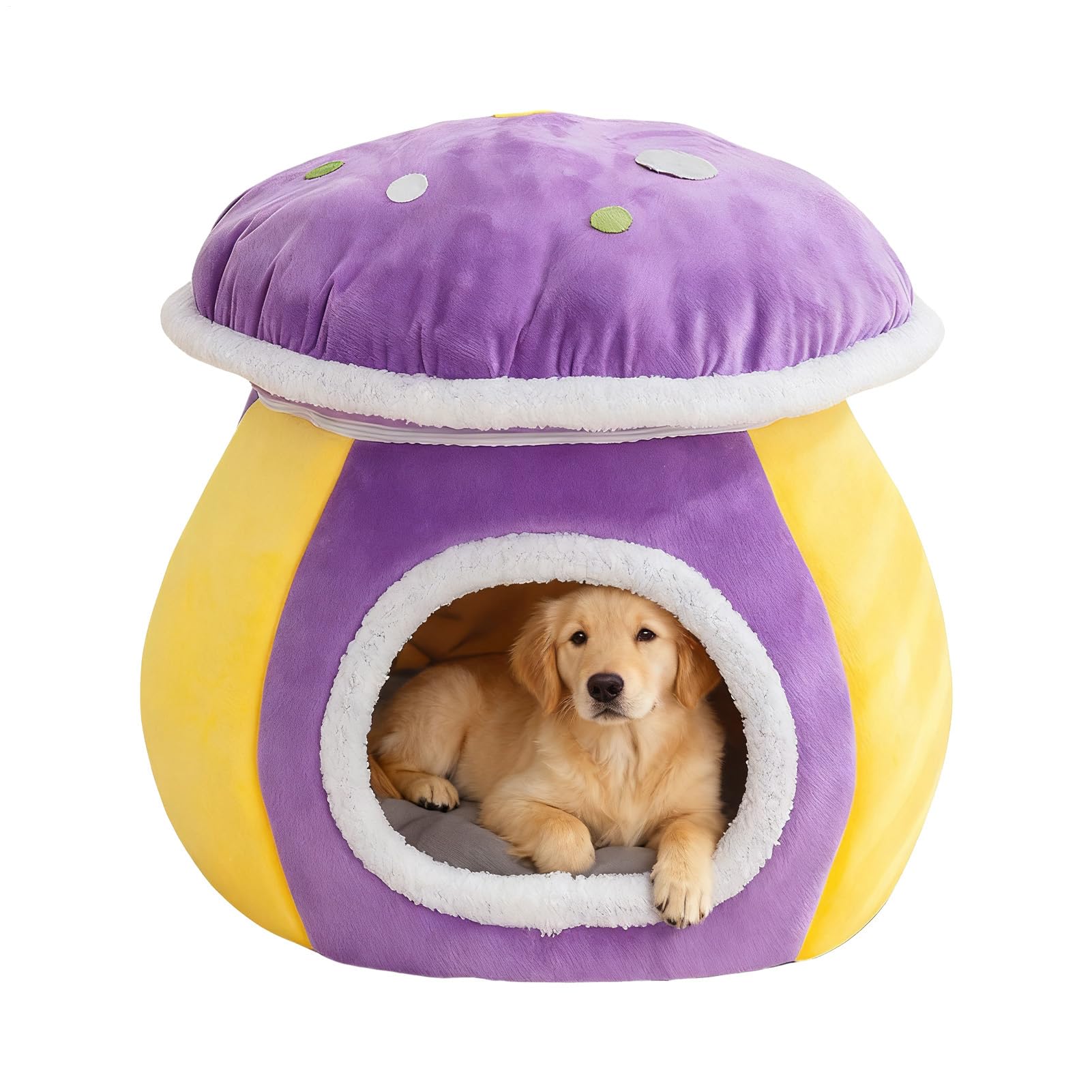 Lit pour chat en champignon : nid d'hiver chaud et mignon pour salon