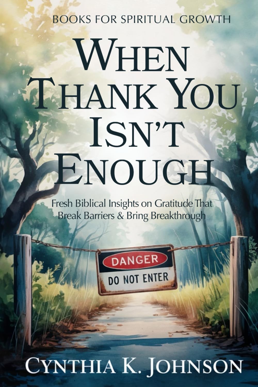 When Thank You Isn't Enough: Fresh Biblical Insights on Gratitude That Break Barriers & Bring Breakthrough (Books For Spiritual Growth)