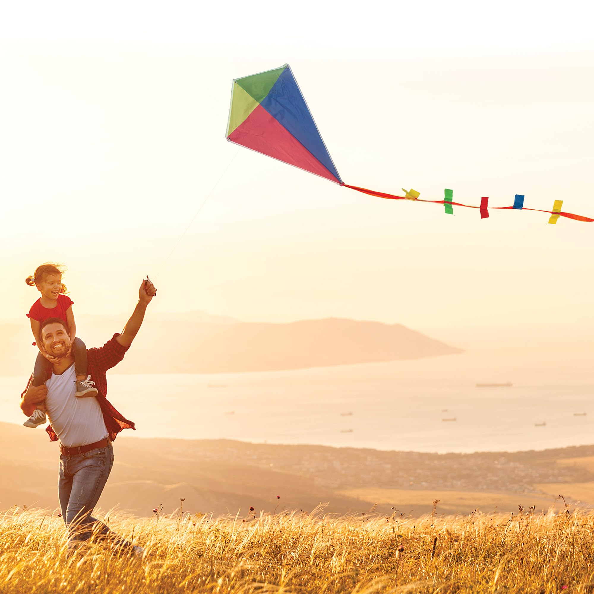 Classic Diamond Kite | House of Marbles - Image 2