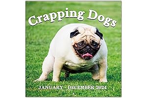 Coboll Gag Gifts - White Elephant Gag Gifts Calendar 2024