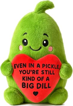 LuoHere Positive Support Pickle Gifts Mothers Day for Sister Friend Teens Mom Dad Birthday Gifts for Women Men Boss Coworkers Inspirational Travel Graduation Gift Healing Stress Relief Items