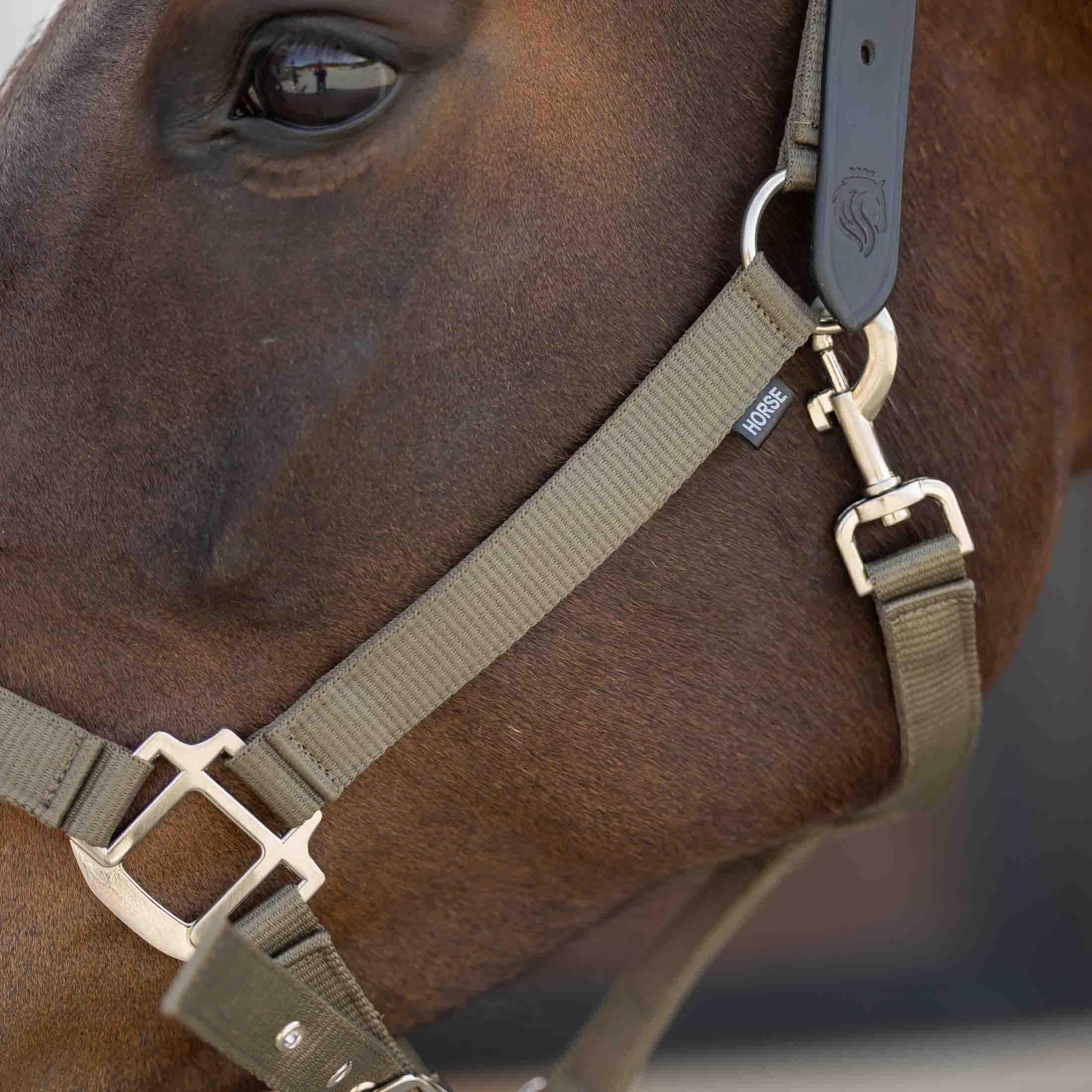 Equinavia Loki - Cabestro ajustable para caballo, color verde oliva claro, mazorca