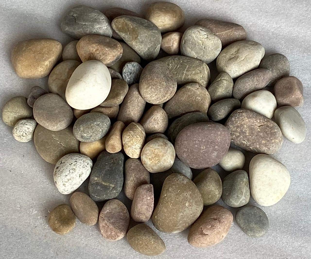 Stonestories River Pebbles Rocks for Garden, Landscaping, Aquarium and Home Decor (5 kgs, Mixed Small, Medium and Large Size) (B08YWQF6FD) Amazon Price History, Amazon Price Tracker
