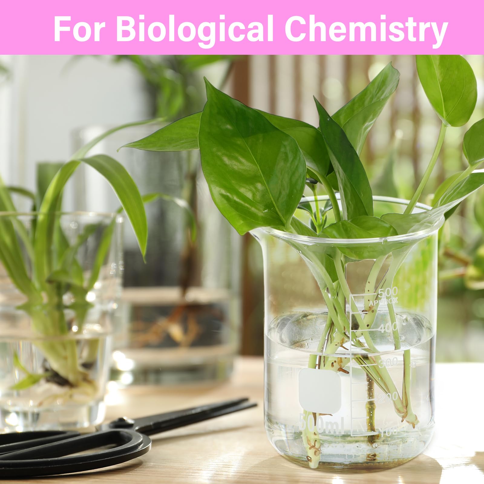 Relaxweex 8 Pcs Glass Lab Beaker 500ml, Borosilicate Low Form Spout — Amazon image 7