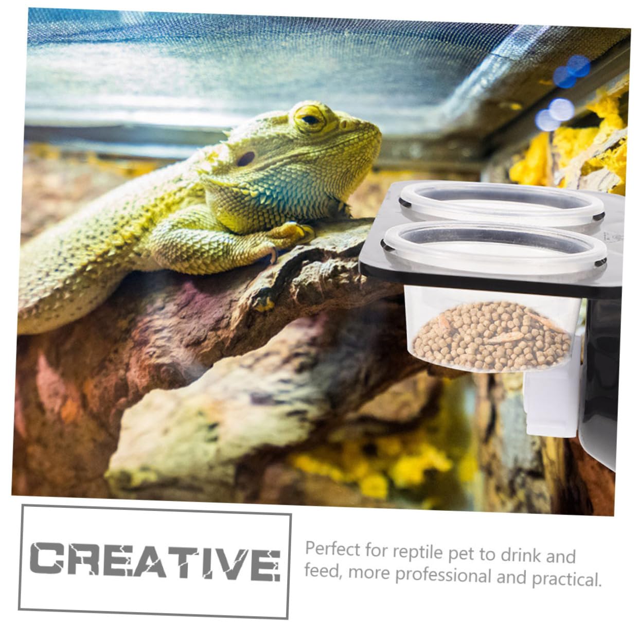 Beavorty 3 Set di Mangiatoie per Rettili E Gechi in Materiale Avanzato con Tazze Senza Sbavature per Un Uso Sicuro degli Animali Domestici Design Pratico