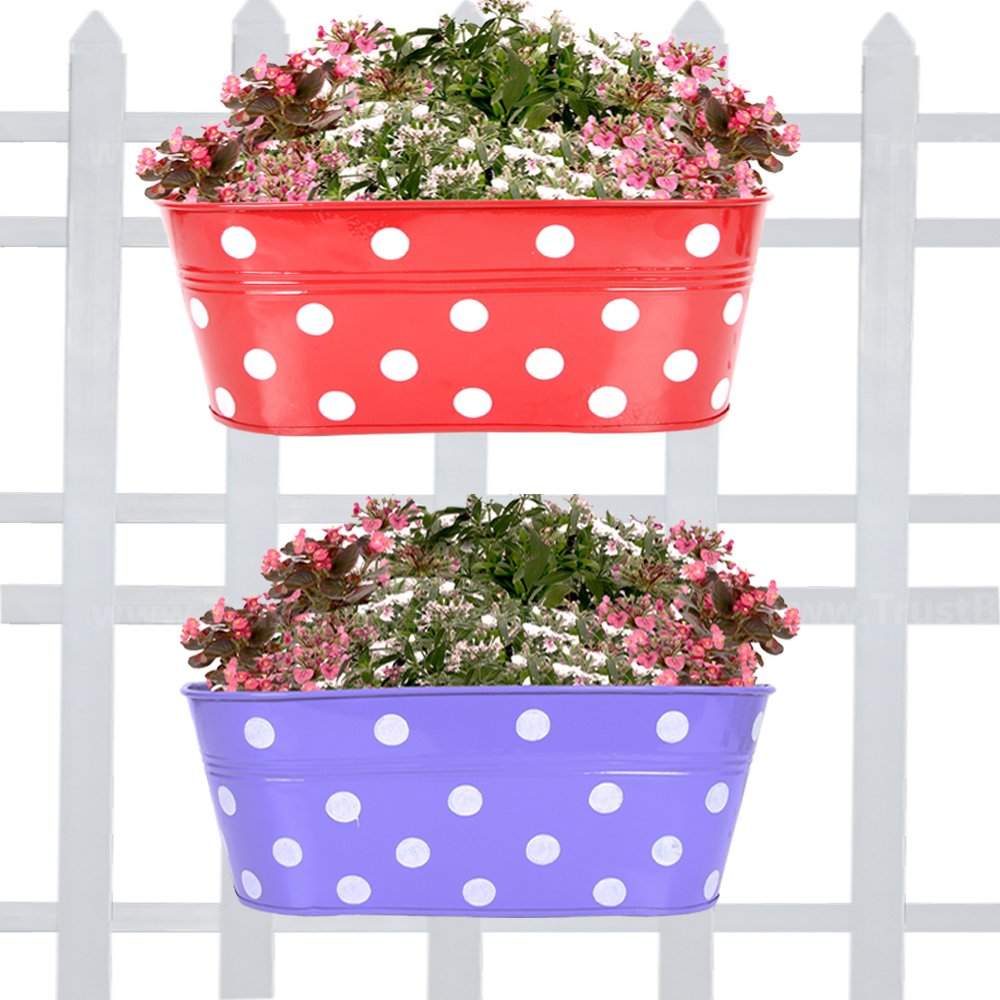 TrustBasket Dotted Oval Railing Plant Container - (Purple, Red) Set of 2 | Heavy Duty Highly Durable Plant Container Gamla for Indoor Home Decor & Outdoor Balcony Garden (B01N6JH8W0) Amazon Price History, Amazon Price Tracker