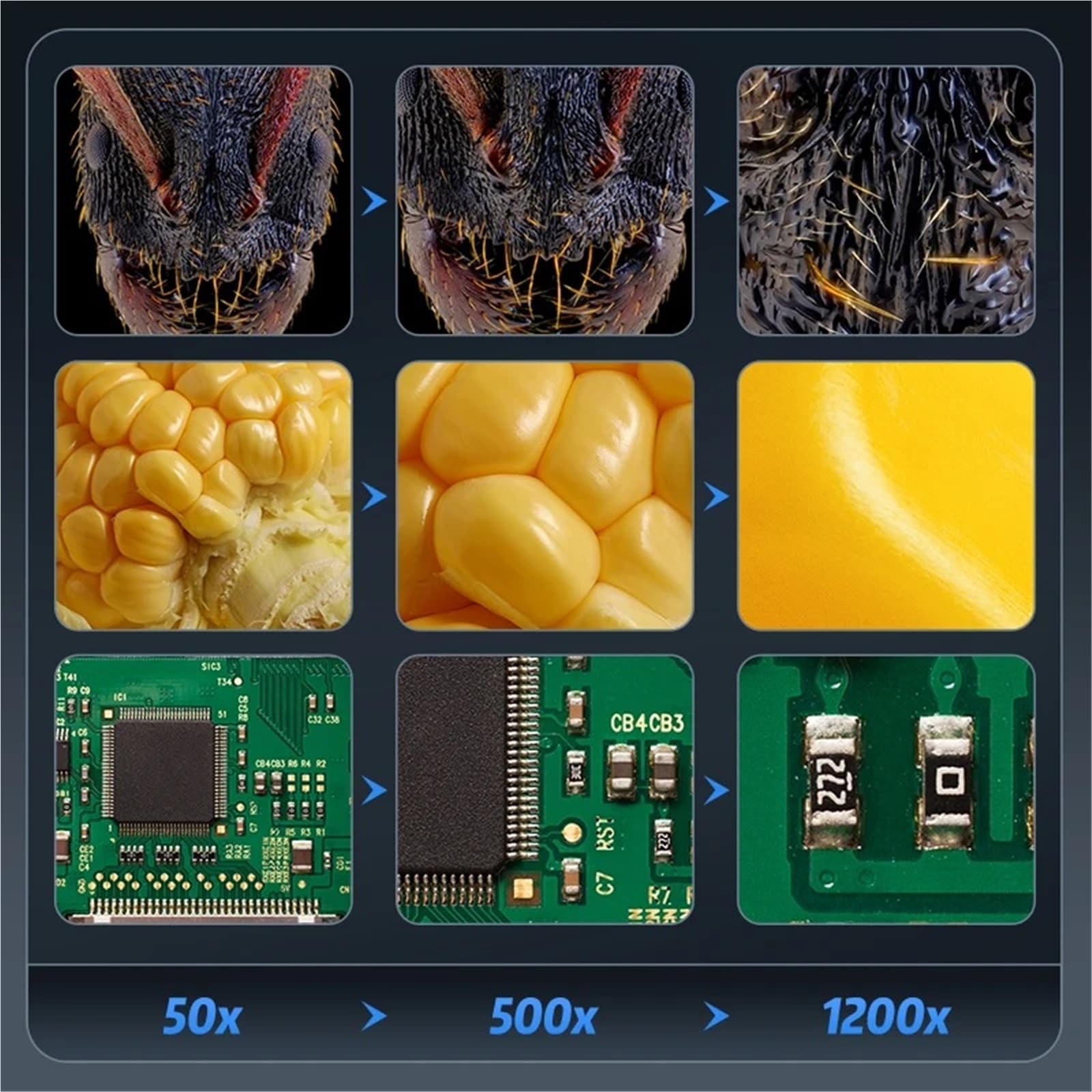 Microscopio, Microscopio elettronico digitale portatile con display da 5 MP e 7 pollici, foto e video con luci a 8 LED, zoom 1200X, batteria for laboratorio,Prodotti scientifici e da laboratorio