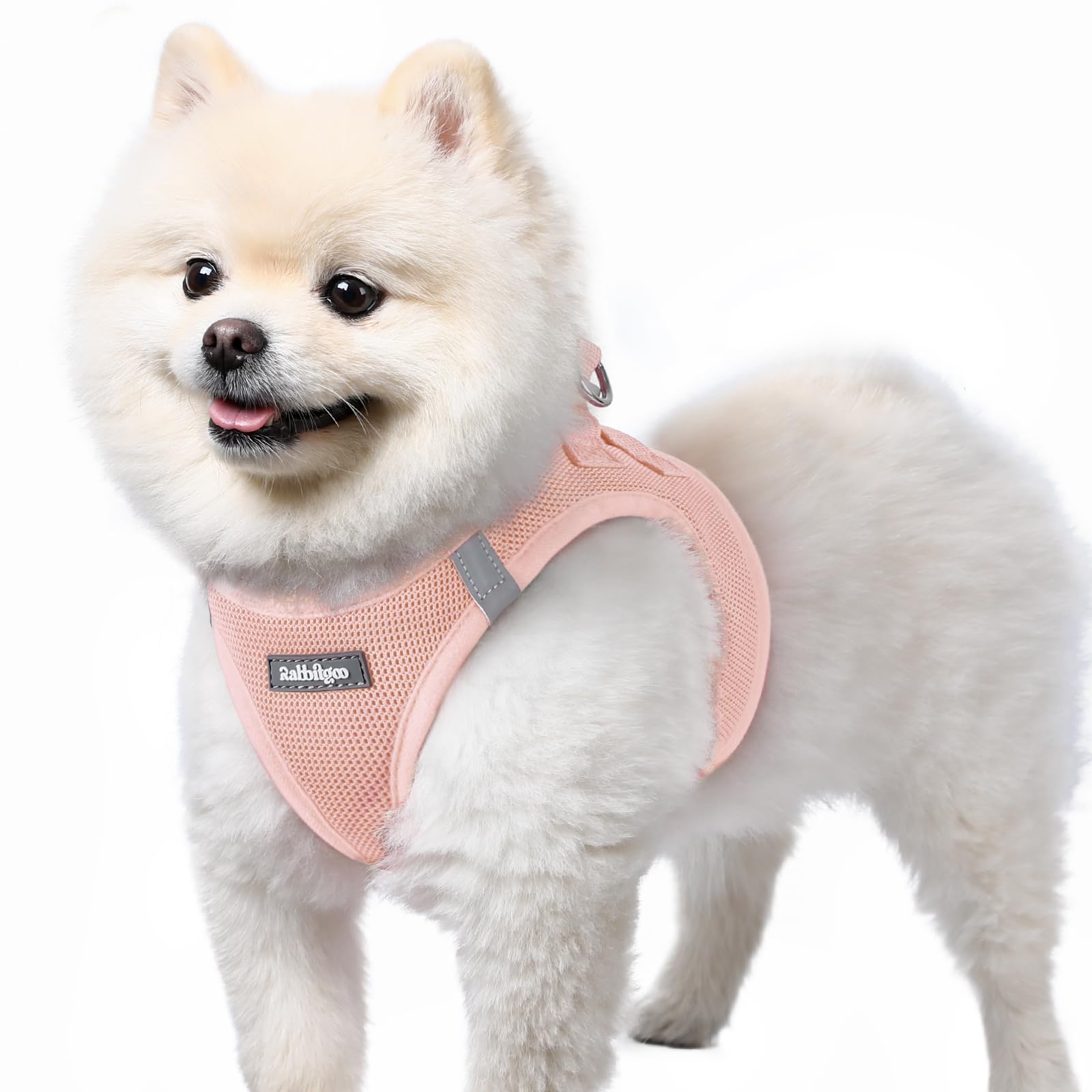rabbitgoo Hundegeschirr kleine Hunde, Step-in Soft Mesh Hundegeschirr mit Sicherheitsverschluss, atmungsaktives und reflektierendes Welpengeschirr für kleine Hunde