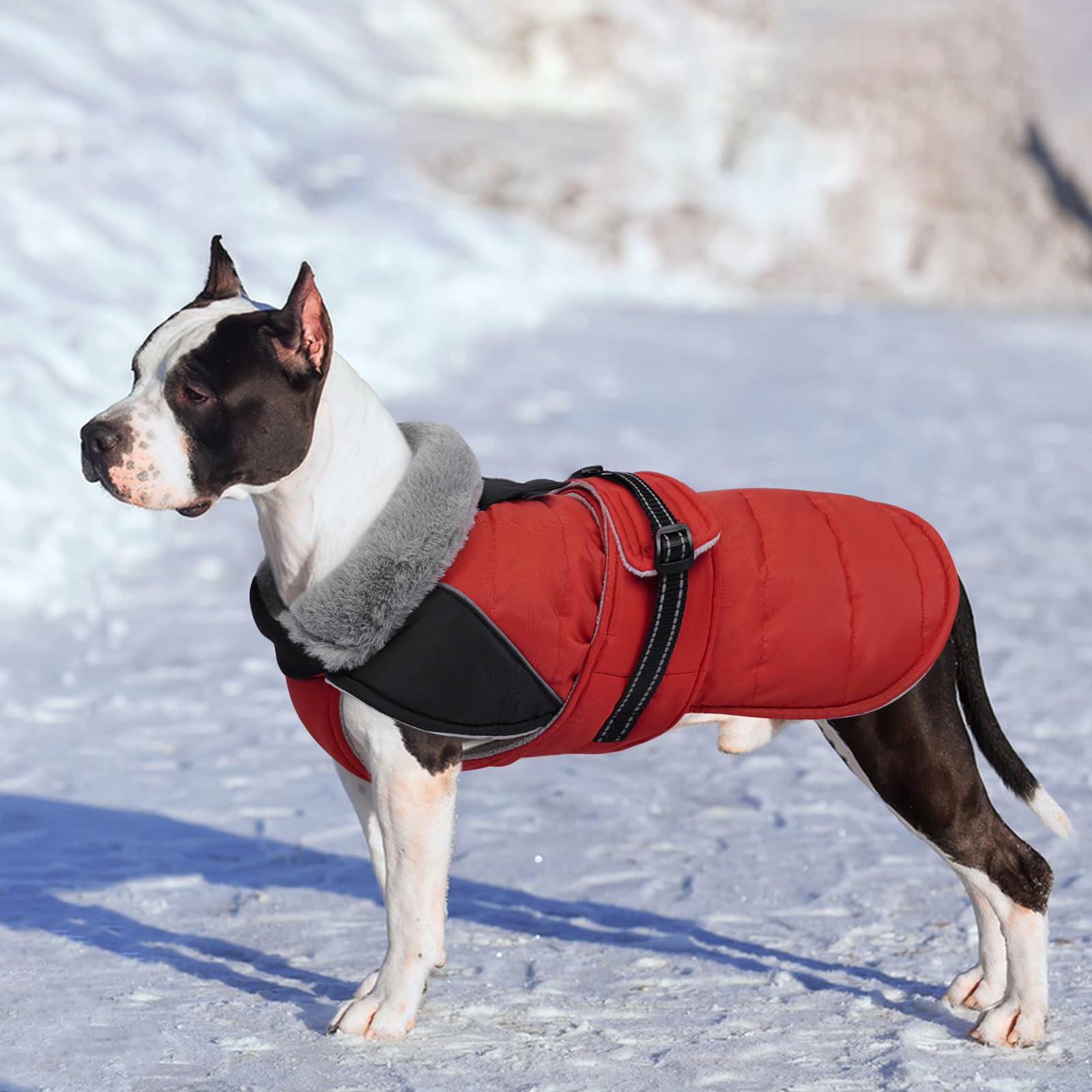 Lelepet Abrigo de invierno para perro, chaqueta cálida impermeable para cachorros con tiras reflectantes, forro polar, ajuste ajustable para perros medianos, chaleco de perro resistente al viento para