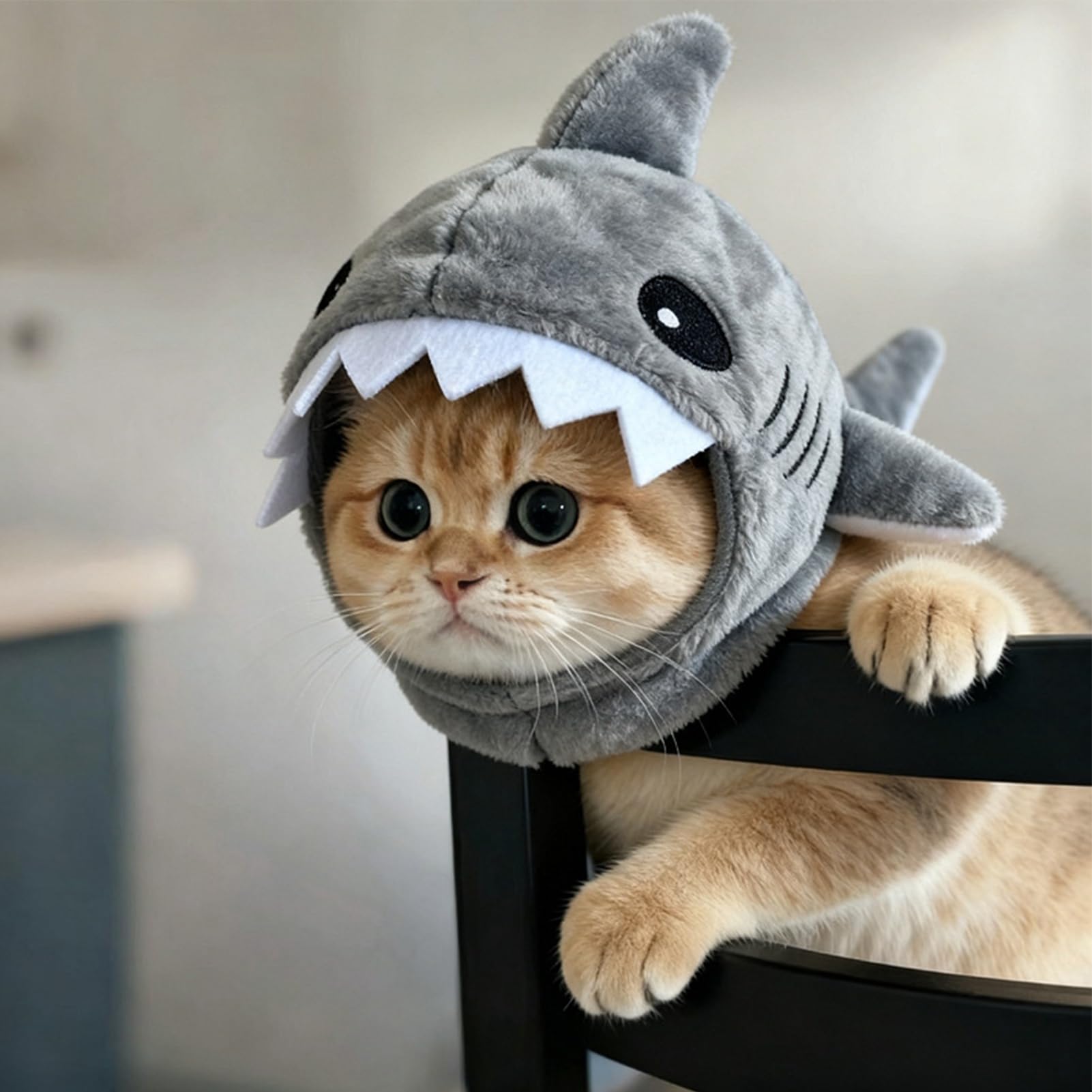 Mignon chapeau de chat - Accessoire de vêtements chaud réglable en forme de requin pour chaton - Bonnet de requin de chat - Pour déguisement fête cosplay événements