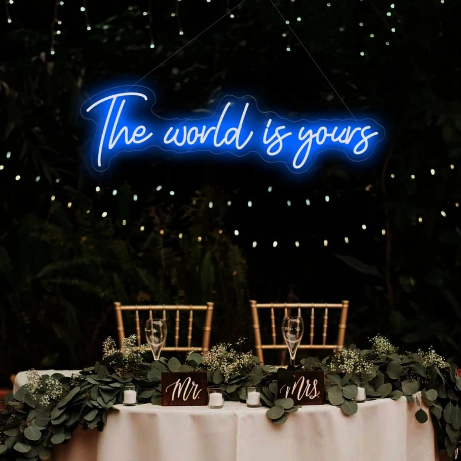The World is Yours Neon Sign for Wall Decor, LED Light Signs for Bedroom Game Room Man Cave Home Bar Bistro Club Cafe Wedding Graduation Party Birthday Gift