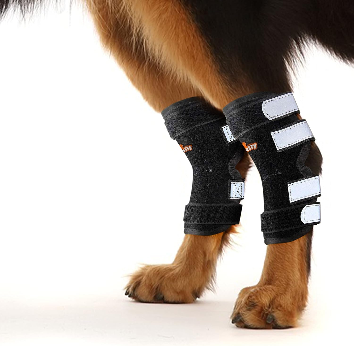 NeoAlly® Rear Leg Hock Brace with Metal Spring Strips